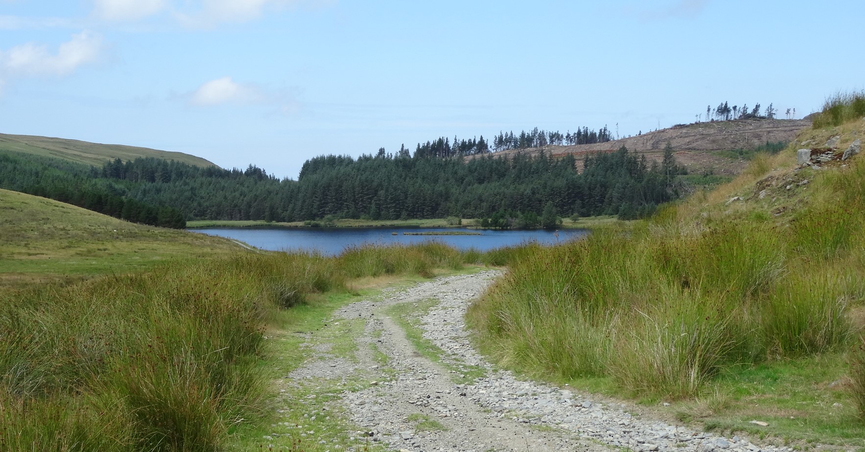 RachelSeabrook.net | Wild Walking | Disgwylfa-Fawr | pic17A